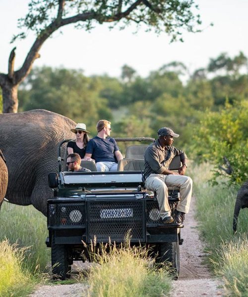 banner_south-africa_g002_l